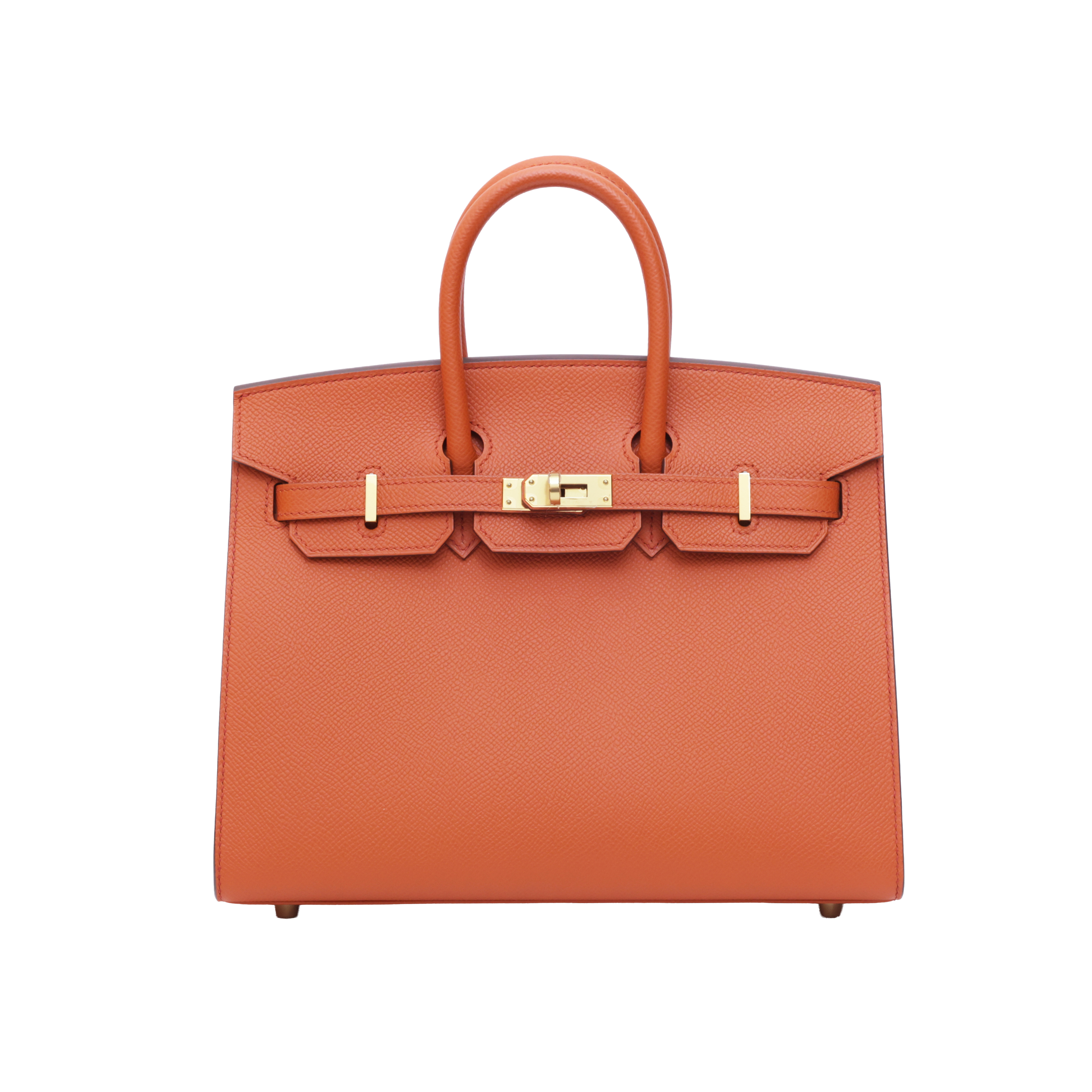 Hermès Birkin25 Terre Battue(R1)Epsom GHW  B (2023)