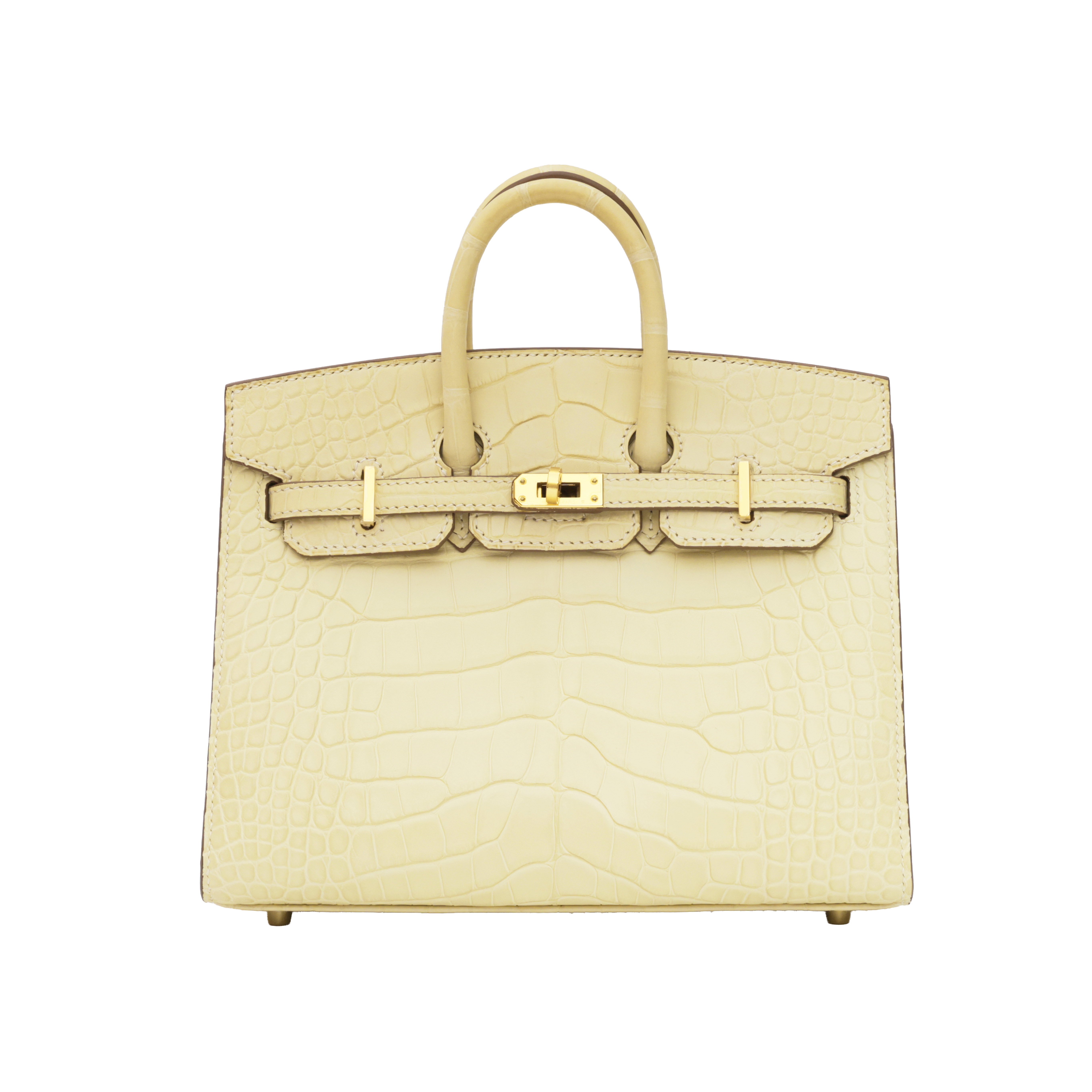 Hermès Birkin 20 Sellier Vanille(Y1) Matte Alligator GHW W (2024)